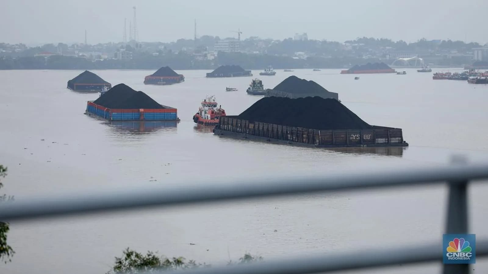 HBA Batu Bara Periode Pertama Oktober 2026: Tiga Kategori Turun, Kalori Rendah Naik